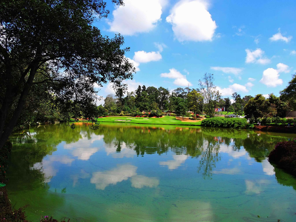 Los Lagartos y Fedegolf celebran en grande sus 80 y 70 años