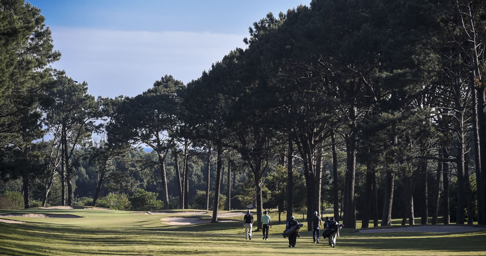 El chileno Guillermo Pereira es el puntero al promediar el torneo(cortesía Enrique Berardi/PGA TOUR)