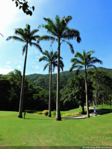 Galería 1a ronda XIII Abierto Sambil