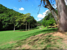 Galería 1a ronda XIII Abierto Sambil