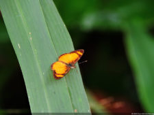 Galería 2a ronda XIII Abierto Sambil