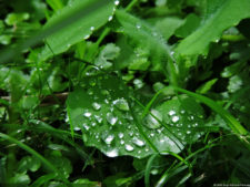 Galería 2a ronda XIII Abierto Sambil