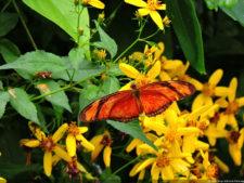 Galería 2a ronda XIII Abierto Sambil