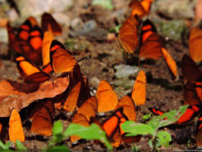 Galería preclasificación de categorías superiores del XIII Abierto Sambil