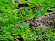 Galería preclasificación de categorías superiores del XIII Abierto Sambil