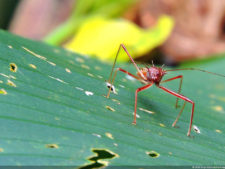 Galería ronda final XIII Abierto Sambil