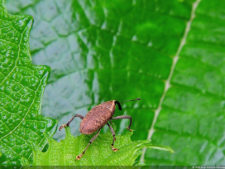 Galería ronda final XIII Abierto Sambil