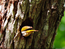 Galería ronda final XIII Abierto Sambil