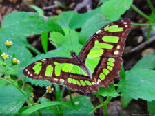 Galería ronda final XIII Abierto Sambil