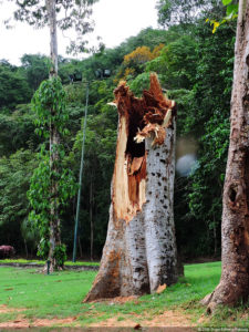 Galería ronda final XIII Abierto Sambil