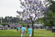 Galería de fotos del 111º Visa Open de Argentina