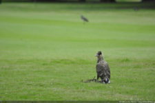 Galería de fotos del 111º Visa Open de Argentina