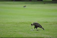 Galería de fotos del 111º Visa Open de Argentina