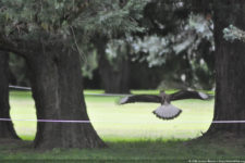 Galería de fotos del 111º Visa Open de Argentina