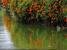 Galería de fotos, Club Colombia Championship presentado por Servientrega día domingo
