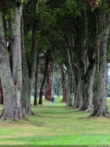 Galería de fotos, Club Colombia Championship presentado por Servientrega día domingo