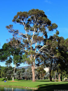 Galería de fotos, Club Colombia Championship presentado por Servientrega día miércoles