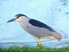 Galería de fotos, Club Colombia Championship presentado por Servientrega día miércoles