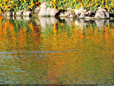 Galería de fotos, Club Colombia Championship presentado por Servientrega día miércoles