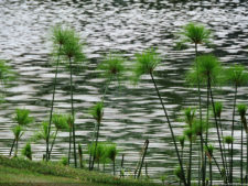 Galería de fotos, Club Colombia Championship presentado por Servientrega día sábado