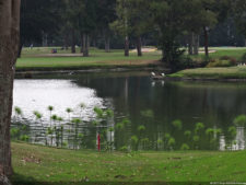 Galería de fotos, Club Colombia Championship presentado por Servientrega día sábado