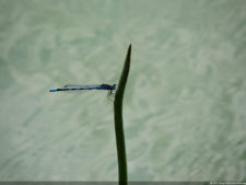 Galería de fotos, Club Colombia Championship presentado por Servientrega día viernes