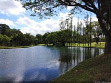 Galería 1a Ronda Abierto Lagunita Country Club 2017