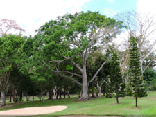 Galería 1a Ronda Abierto Lagunita Country Club 2017