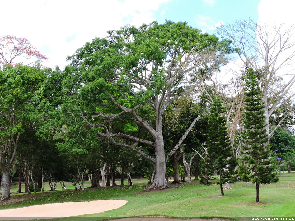 Galería 1a Ronda Abierto Lagunita Country Club 2017