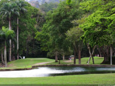 Galería 1a Ronda Abierto Lagunita Country Club 2017