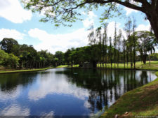 Galería 1a Ronda Abierto Lagunita Country Club 2017