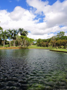 Galería 1a Ronda Abierto Lagunita Country Club 2017