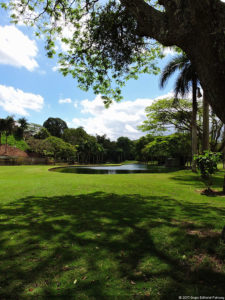 Galería 1a Ronda Abierto Lagunita Country Club 2017