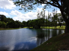 Galería 1a Ronda Abierto Lagunita Country Club 2017