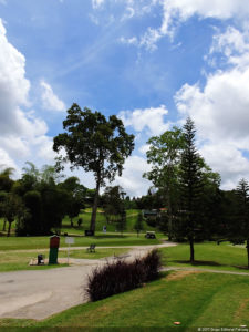 Galería 2a Ronda Abierto Lagunita Country Club 2017