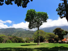 Galería del 3er Torneo Mid-Amateur FVG en el Caracas Country Club