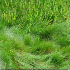 Galería de selección de fotos de 2da ronda del 117º US Open en Erin Hills cortesía de la Revista Fairway