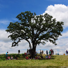 Galería de selección de fotos de 3ra ronda del 117º US Open en Erin Hills cortesía de la Revista Fairway