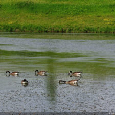 Galería de selección de fotos de la ronda final del 117º US Open en Erin Hills cortesía de la Revista Fairway