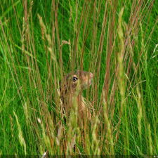 Por 1ra vez cuatro empatan el US Open y mucho más!