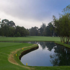 XXIX Abierto Serta de Golf. Tour Profesional