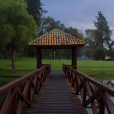 XXIX Abierto Serta de Golf. Tour Profesional