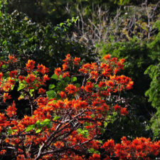 XIV Abierto Sambil, galería jueves