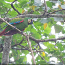 XIV Abierto Sambil, galería jueves