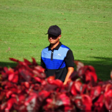 XIV Abierto Sambil, galería viernes