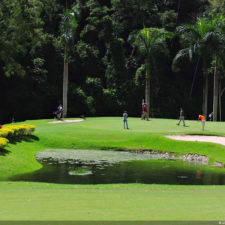 La naturaleza distintiva de Izcaragua es su vegetación
