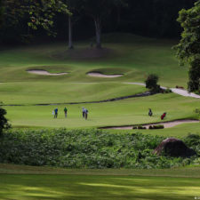 La naturaleza distintiva de Izcaragua es su vegetación