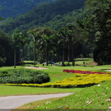 La naturaleza distintiva de Izcaragua es su vegetación