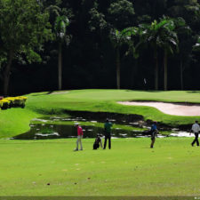 La naturaleza distintiva de Izcaragua es su vegetación
