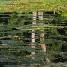 La naturaleza distintiva de Izcaragua es su vegetación